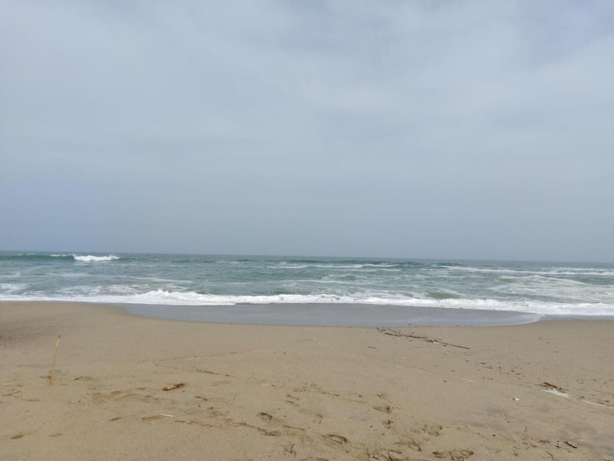 Saint Cyprien - Appart - Piscine-Mer Bagian luar foto